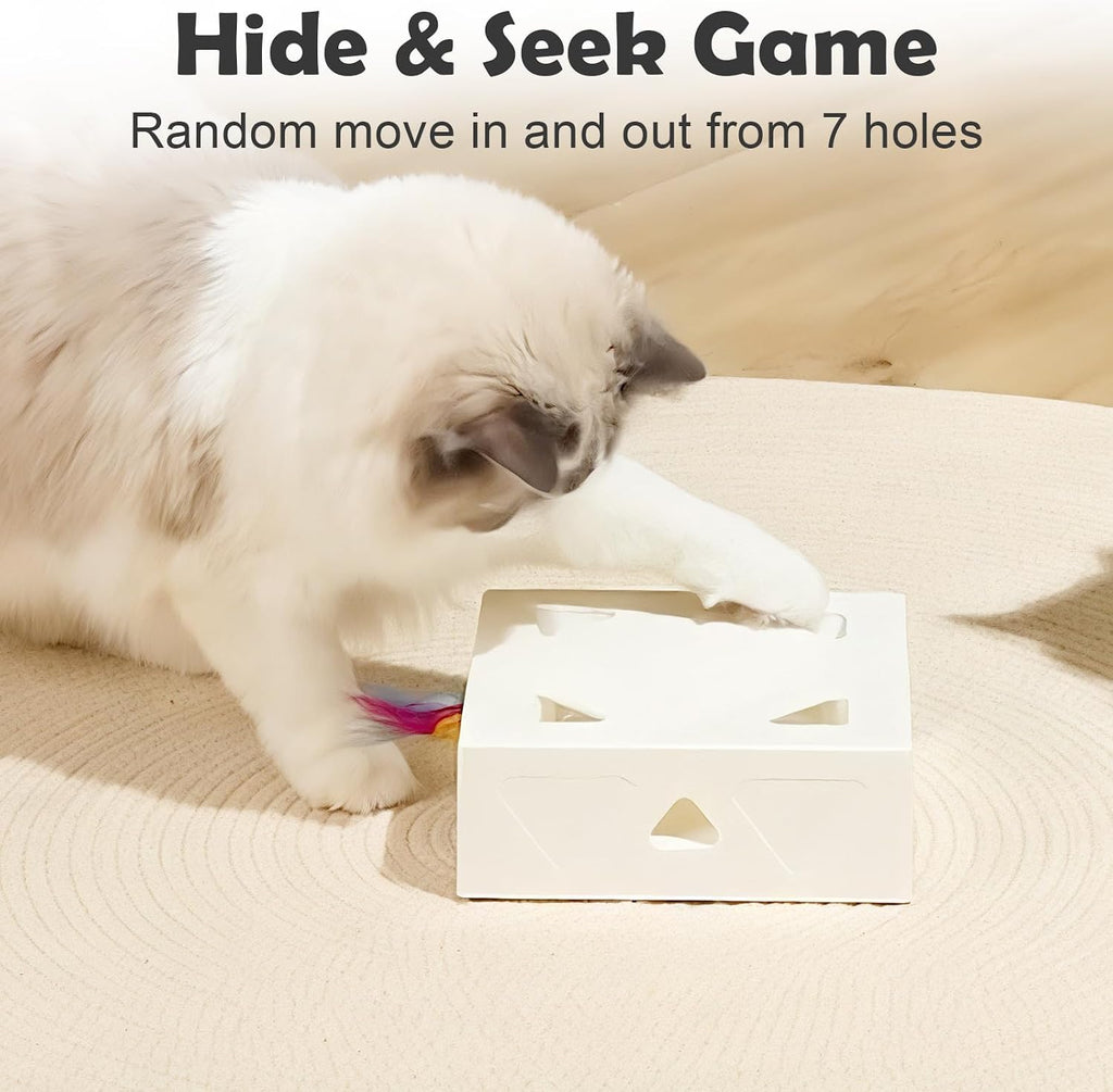 Migipaws Migibox 3-in-1 Auto Interactive Cat Toy - Case of 12 (Wholesale Pack)