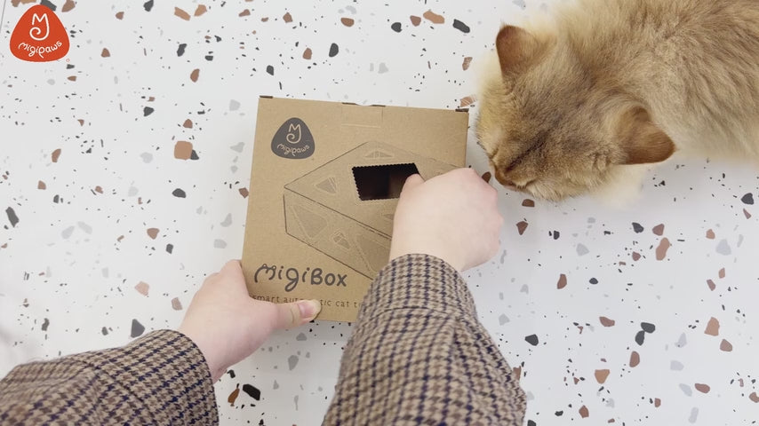 Migipaws Migibox 3-in-1 Auto Interactive Cat Toy - Case of 12 (Wholesale Pack)